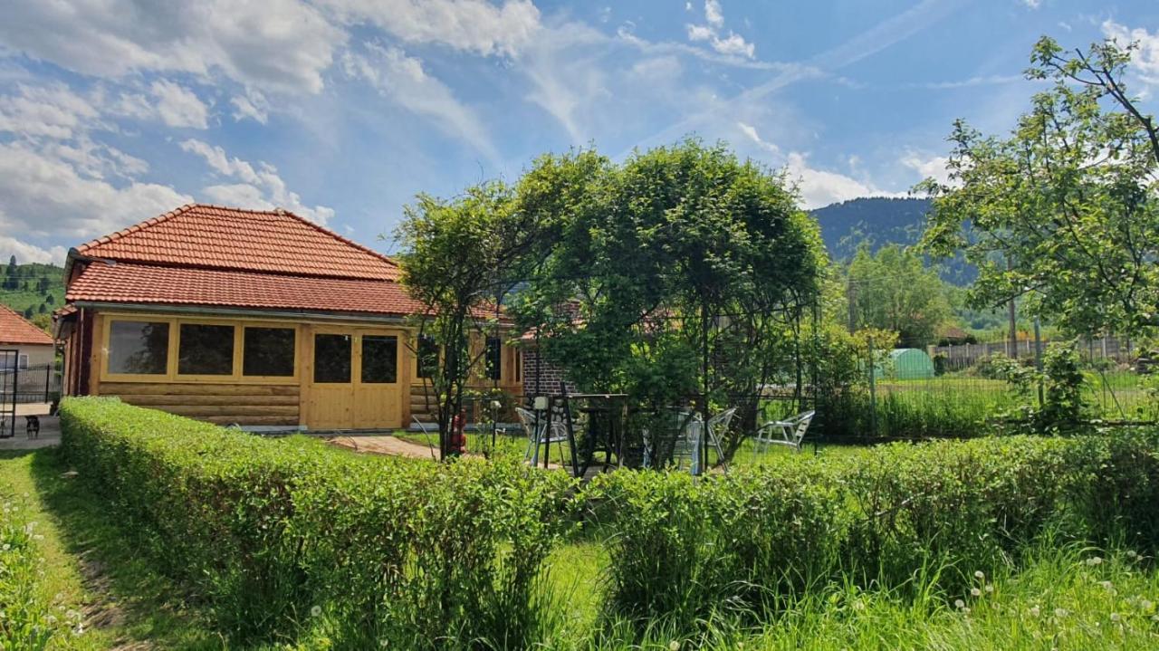 Гостевой дом La Mosu-N Retezat Nucsoara  Экстерьер фото