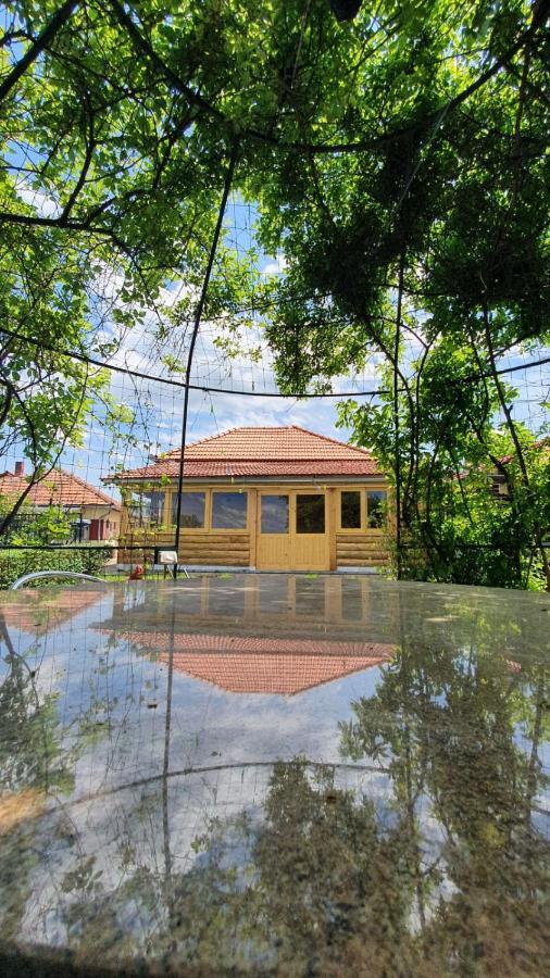 Гостевой дом La Mosu-N Retezat Nucsoara  Экстерьер фото